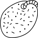 Icône d'une pierre ponce