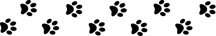 Traces de pattes de chien